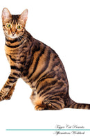 Toyger Cat Affirmations Workbook Toyger Cat Presents: Positive and Loving Affirmations Workbook. Includes: Mentoring Questions, Guidance, Supporting You.