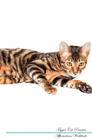 Toyger Cat Affirmations Workbook Toyger Cat Presents: Positive and Loving Affirmations Workbook. Includes: Mentoring Questions, Guidance, Supporting You.