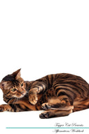 Toyger Cat Affirmations Workbook Toyger Cat Presents: Positive and Loving Affirmations Workbook. Includes: Mentoring Questions, Guidance, Supporting You.