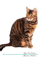 Toyger Cat Affirmations Workbook Toyger Cat Presents: Positive and Loving Affirmations Workbook. Includes: Mentoring Questions, Guidance, Supporting You.