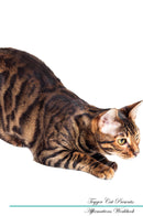 Toyger Cat Affirmations Workbook Toyger Cat Presents: Positive and Loving Affirmations Workbook. Includes: Mentoring Questions, Guidance, Supporting You.