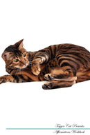 Toyger Cat Affirmations Workbook Toyger Cat Presents: Positive and Loving Affirmations Workbook. Includes: Mentoring Questions, Guidance, Supporting You.