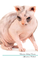 Ukrainian Levkoy Affirmations Workbook Ukrainian Levkoy Presents: Positive and Loving Affirmations Workbook. Includes: Mentoring Questions, Guidance, Supporting You.