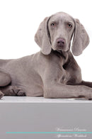 Weimaraner Affirmations Workbook Weimaraner Presents: Positive and Loving Affirmations Workbook. Includes: Mentoring Questions, Guidance, Supporting You.