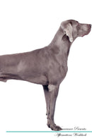Weimaraner Affirmations Workbook Weimaraner Presents: Positive and Loving Affirmations Workbook. Includes: Mentoring Questions, Guidance, Supporting You.