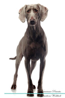 Weimaraner Affirmations Workbook Weimaraner Presents: Positive and Loving Affirmations Workbook. Includes: Mentoring Questions, Guidance, Supporting You.