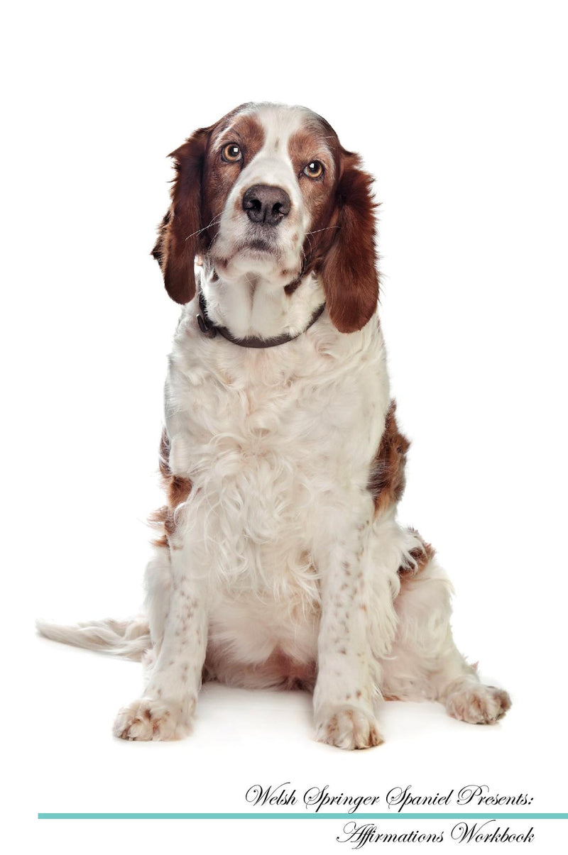 Welsh Springer Spaniel Affirmations Workbook Welsh Springer Spaniel Presents: Positive and Loving Affirmations Workbook. Includes: Mentoring Questions, Guidance, Supporting You.