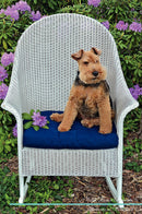 Welsh Terrier Affirmations Workbook Welsh Terrier Presents: Positive and Loving Affirmations Workbook. Includes: Mentoring Questions, Guidance, Supporting You.