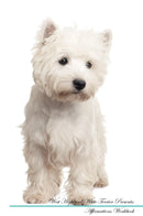 West Highland White Terrier Affirmations Workbook West Highland White Terrier Presents: Positive and Loving Affirmations Workbook. Includes: Mentoring Questions, Guidance, Supporting You.