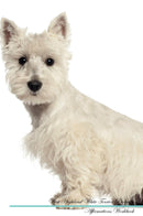 West Highland White Terrier Affirmations Workbook West Highland White Terrier Presents: Positive and Loving Affirmations Workbook. Includes: Mentoring Questions, Guidance, Supporting You.