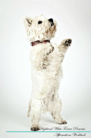 West Highland White Terrier Affirmations Workbook West Highland White Terrier Presents: Positive and Loving Affirmations Workbook. Includes: Mentoring Questions, Guidance, Supporting You.