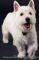 West Highland White Terrier Affirmations Workbook West Highland White Terrier Presents: Positive and Loving Affirmations Workbook. Includes: Mentoring Questions, Guidance, Supporting You.
