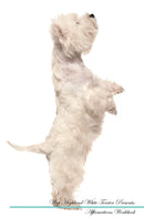 West Highland White Terrier Affirmations Workbook West Highland White Terrier Presents: Positive and Loving Affirmations Workbook. Includes: Mentoring Questions, Guidance, Supporting You.