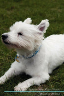 West Highland White Terrier Affirmations Workbook West Highland White Terrier Presents: Positive and Loving Affirmations Workbook. Includes: Mentoring Questions, Guidance, Supporting You.