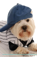 West Highland White Terrier Affirmations Workbook West Highland White Terrier Presents: Positive and Loving Affirmations Workbook. Includes: Mentoring Questions, Guidance, Supporting You.