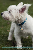 West Highland White Terrier Affirmations Workbook West Highland White Terrier Presents: Positive and Loving Affirmations Workbook. Includes: Mentoring Questions, Guidance, Supporting You.