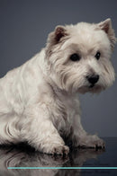 West Highland White Terrier Affirmations Workbook West Highland White Terrier Presents: Positive and Loving Affirmations Workbook. Includes: Mentoring Questions, Guidance, Supporting You.