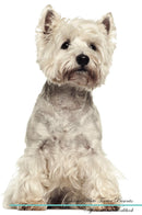 West Highland White Terrier Affirmations Workbook West Highland White Terrier Presents: Positive and Loving Affirmations Workbook. Includes: Mentoring Questions, Guidance, Supporting You.