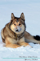 West Siberian Laika Affirmations Workbook West Siberian Laika Presents: Positive and Loving Affirmations Workbook. Includes: Mentoring Questions, Guidance, Supporting You.