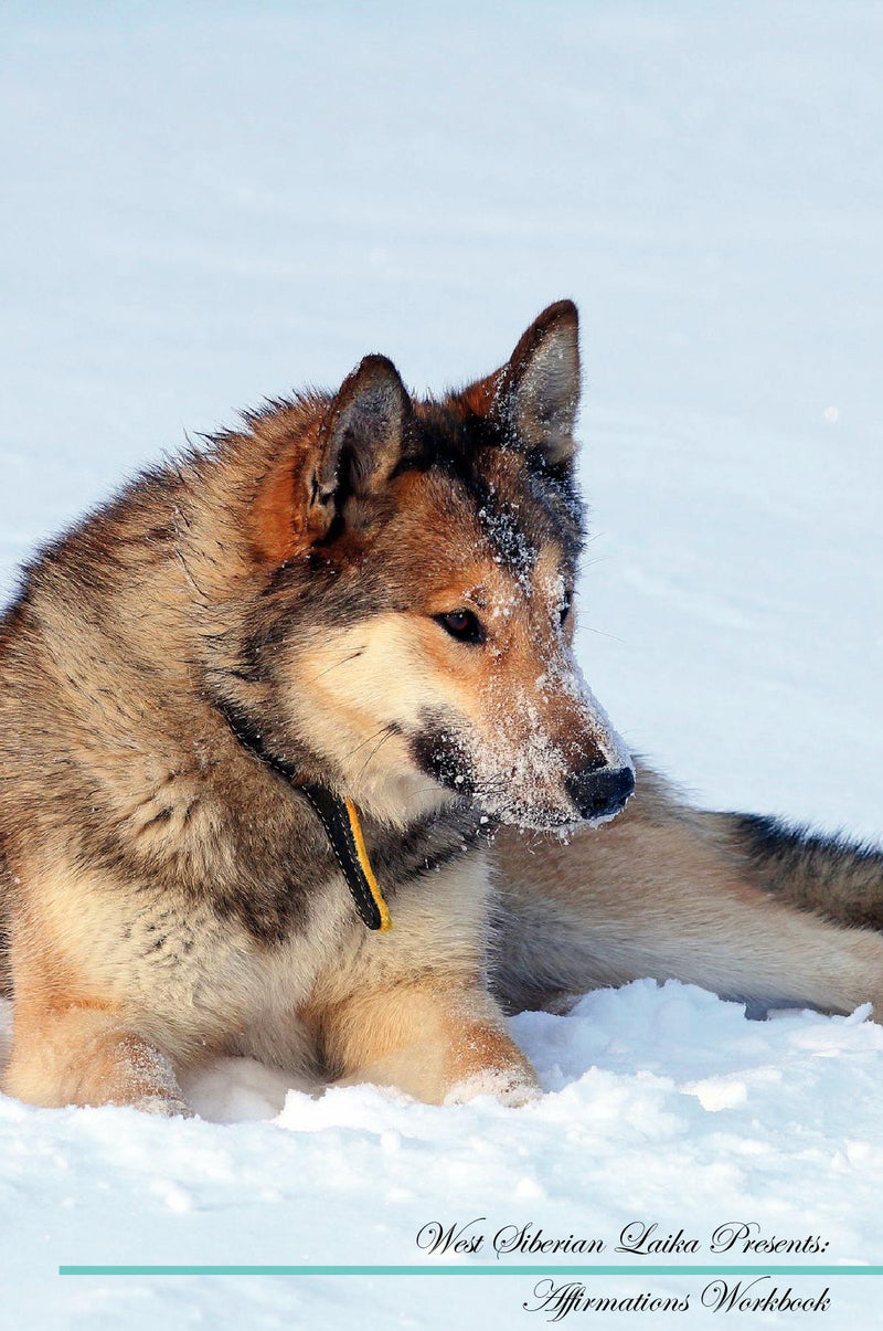 West Siberian Laika Affirmations Workbook West Siberian Laika Presents: Positive and Loving Affirmations Workbook. Includes: Mentoring Questions, Guidance, Supporting You.