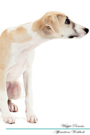 Whippet Affirmations Workbook Whippet Presents: Positive and Loving Affirmations Workbook. Includes: Mentoring Questions, Guidance, Supporting You.