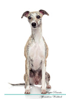 Whippet Affirmations Workbook Whippet Presents: Positive and Loving Affirmations Workbook. Includes: Mentoring Questions, Guidance, Supporting You.