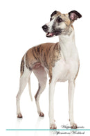 Whippet Affirmations Workbook Whippet Presents: Positive and Loving Affirmations Workbook. Includes: Mentoring Questions, Guidance, Supporting You.