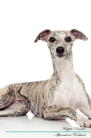 Whippet Affirmations Workbook Whippet Presents: Positive and Loving Affirmations Workbook. Includes: Mentoring Questions, Guidance, Supporting You.