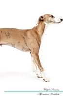 Whippet Affirmations Workbook Whippet Presents: Positive and Loving Affirmations Workbook. Includes: Mentoring Questions, Guidance, Supporting You.