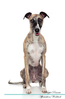 Whippet Affirmations Workbook Whippet Presents: Positive and Loving Affirmations Workbook. Includes: Mentoring Questions, Guidance, Supporting You.