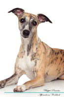 Whippet Affirmations Workbook Whippet Presents: Positive and Loving Affirmations Workbook. Includes: Mentoring Questions, Guidance, Supporting You.