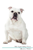 White English Bulldog Affirmations Workbook White English Bulldog Presents: Positive and Loving Affirmations Workbook. Includes: Mentoring Questions, Guidance, Supporting You.
