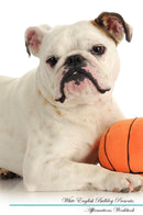 White English Bulldog Affirmations Workbook White English Bulldog Presents: Positive and Loving Affirmations Workbook. Includes: Mentoring Questions, Guidance, Supporting You.