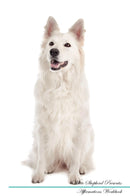 White Shepherd Affirmations Workbook White Shepherd Presents: Positive and Loving Affirmations Workbook. Includes: Mentoring Questions, Guidance, Supporting You.