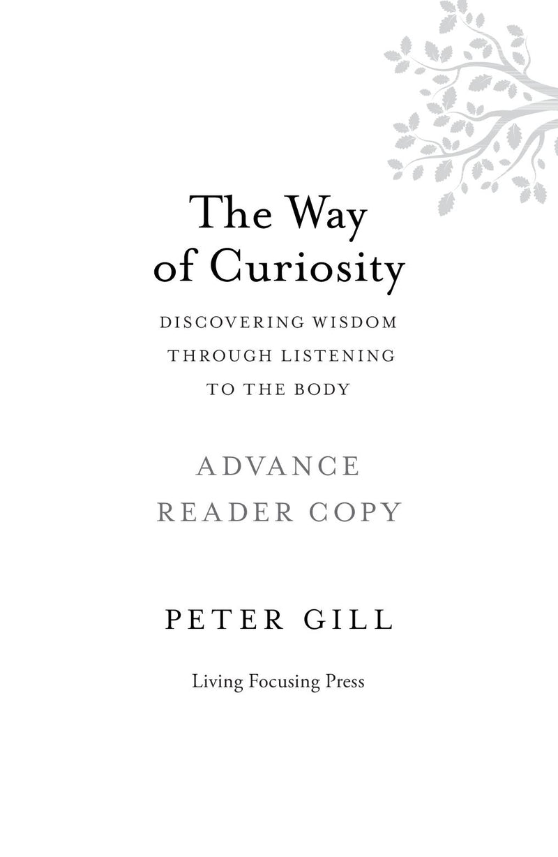 The Way of Curiosity