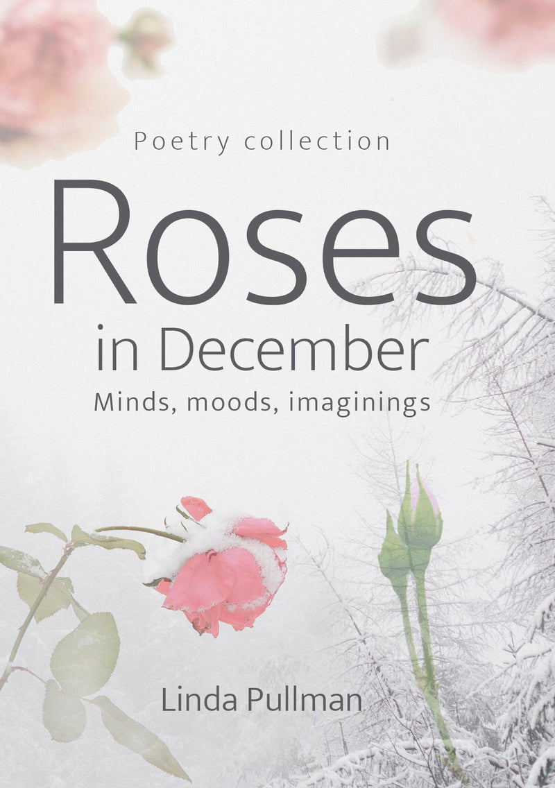 Roses in December