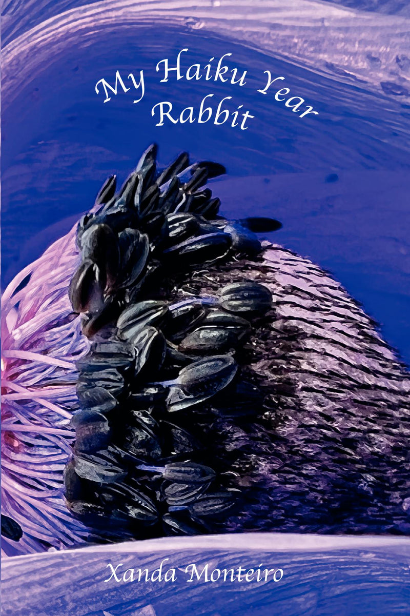 My Haiku Year - Rabbit