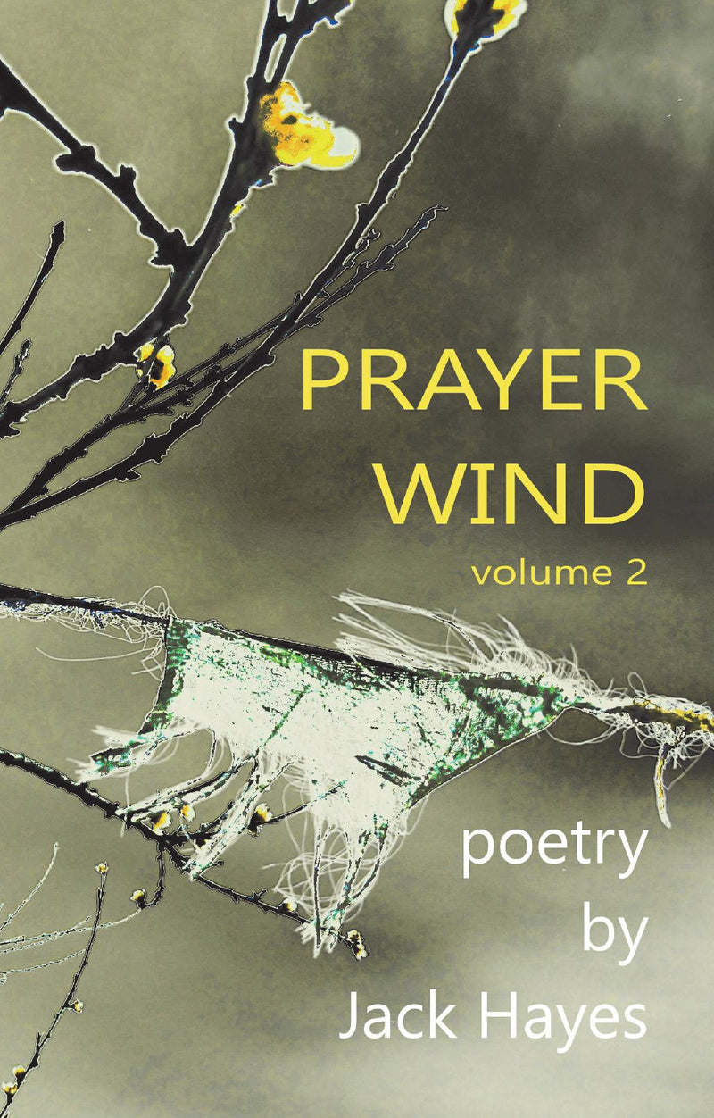 Prayer Wind volume 2