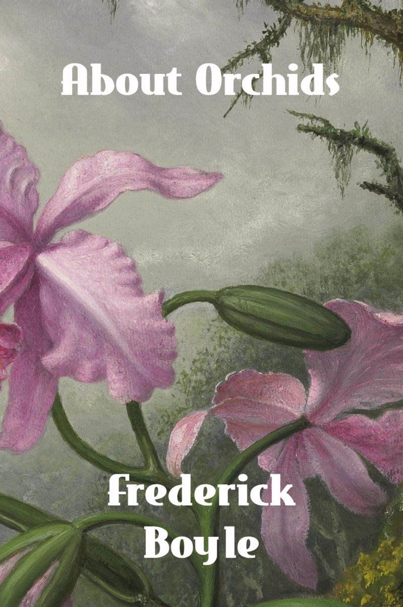 About Orchids