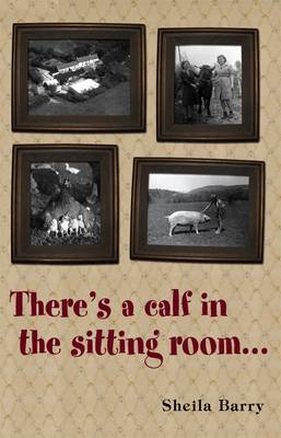 There's a Calf in the Sitting Room