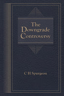 The Downgrade Controversy