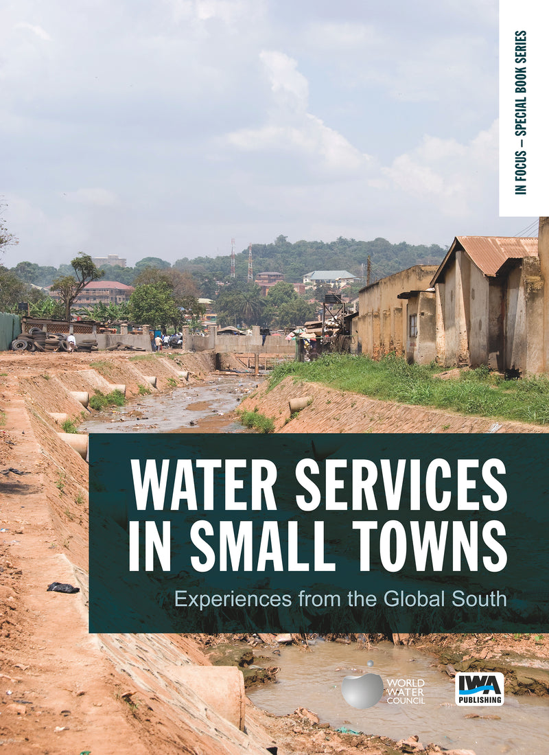 Water Services in Small Towns: Experiences from the Global South