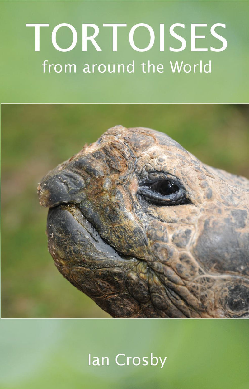 TORTOISES from around the World