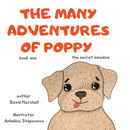 The Many Adventures Of Poppy - The Secret Meadow