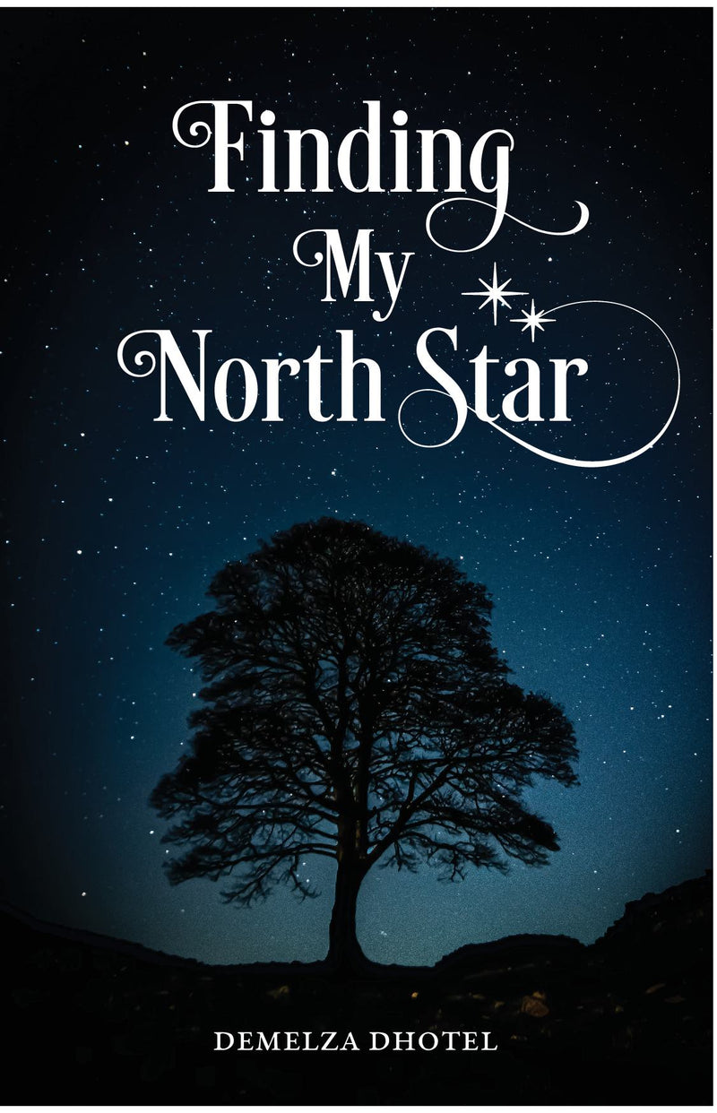 Finding My North Star