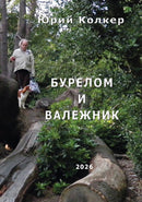 БУРЕЛОМ И ВАЛЕЖНИК