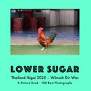 Thailand Ikigai 2025 – Wünsch Dir Was · A Picture Book · 100 Best Photographs