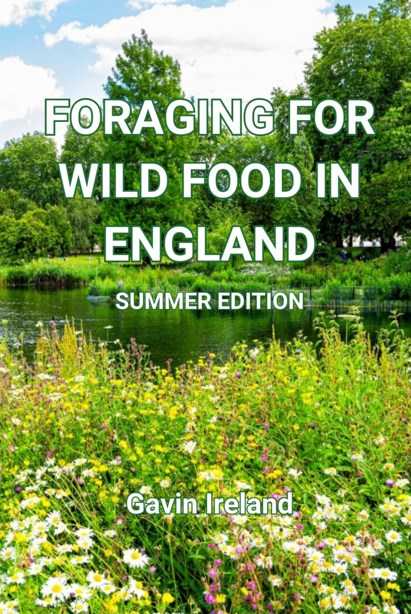 Foraging for Wild Food in England - Summer edition