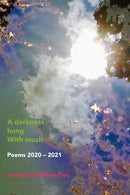 A darkness hung with music