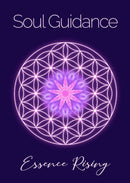Soul Guidance